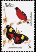 Belize 1990 - set Birds and butterflies: 5 c