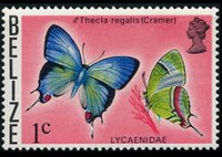 Belize 1974 - serie Farfalle: 1 c