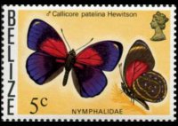 Belize 1974 - set Butterflies: 5 c
