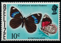 Belize 1974 - set Butterflies: 10 c