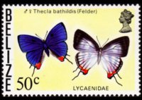 Belize 1974 - set Butterflies: 50 c