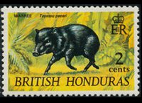 Belize 1968 - set Animals and fishes: 2 c