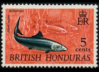 Belize 1968 - set Animals and fishes: 5 c