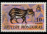 Belize 1968 - set Animals and fishes: 10 c