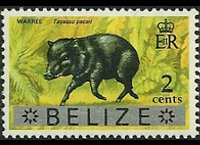 Belize 1973 - serie Animali e pesci: 2 c