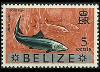 Belize 1973 - set Animals and fishes: 5 c