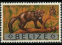 Belize 1973 - set Animals and fishes: 1 $