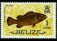 Belize 1974 - serie Animali e pesci: 1 c
