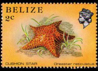 Belize 1984 - set Sealife: 2 c