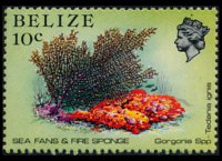 Belize 1984 - set Sealife: 10 c