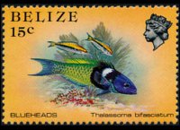 Belize 1984 - set Sealife: 15 c