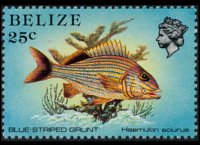 Belize 1984 - set Sealife: 25 c