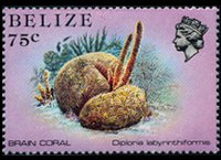 Belize 1984 - set Sealife: 75 c