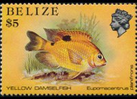 Belize 1984 - serie Vita marina: 5 $
