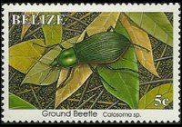 Belize 1995 - serie Insetti: 5 c