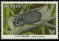 Belize 1995 - serie Insetti: 5 $
