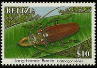 Belize 1995 - serie Insetti: 10 $