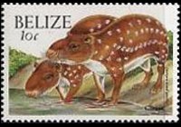 Belize 2000 - set Animals: 10 c