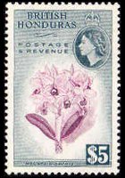 Belize 1953 - serie Regina Elisabetta II e soggetti vari: 5 $