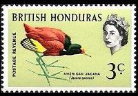 Belize 1962 - set Birds: 3 c