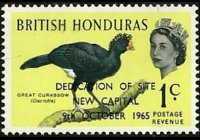 Belize 1962 - set Birds: 1 c