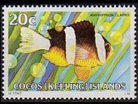 Cocos Islands 1979 - set Fishes: 20 c