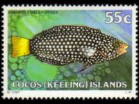 Cocos Islands 1979 - set Fishes: 55 c