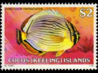 Isole Cocos 1979 - serie Pesci: 2 $