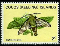 Cocos Islands 1982 - set Butterflies: 2 c