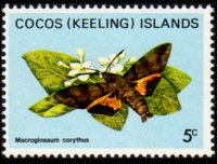 Cocos Islands 1982 - set Butterflies: 5 c