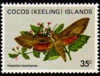 Cocos Islands 1982 - set Butterflies: 35 c