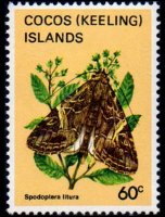 Cocos Islands 1982 - set Butterflies: 60 c