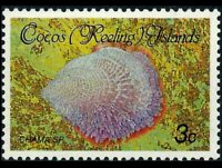 Isole Cocos 1985 - serie Conchiglie e molluschi: 3 c
