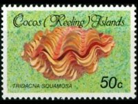 Isole Cocos 1985 - serie Conchiglie e molluschi: 50 c