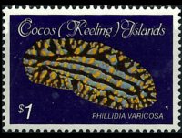Cocos Islands 1985 - set Shells and mollusks: 1 $