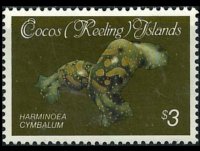 Cocos Islands 1985 - set Shells and mollusks: 3 $