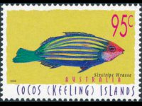 Cocos Islands 1995 - set Fishes: 95 c