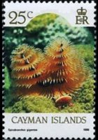 Isole Cayman 1986 - serie Vita marina: 25 c