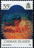 Isole Cayman 1986 - serie Vita marina: 35 c