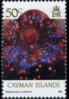 Isole Cayman 1986 - serie Vita marina: 50 c