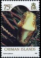 Isole Cayman 1986 - serie Vita marina: 75 c
