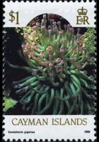 Isole Cayman 1986 - serie Vita marina: 1 $