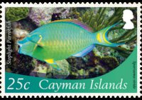 Isole Cayman 2012 - serie Vita marina: 25 c