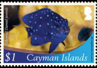 Isole Cayman 2012 - serie Vita marina: 1 $
