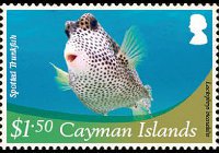 Isole Cayman 2012 - serie Vita marina: 1,50 $