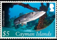 Isole Cayman 2012 - serie Vita marina: 5 $