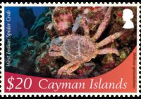 Isole Cayman 2012 - serie Vita marina: 20 $
