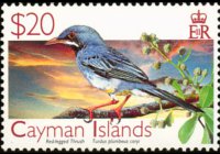 Isole Cayman 2006 - serie Uccelli: 20 $