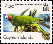 Isole Cayman 2006 - serie Uccelli: 75 c