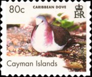 Isole Cayman 2006 - serie Uccelli: 80 c